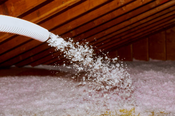 Best Fiberglass Insulation in Elmo, TX