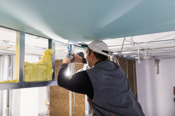 Elmo, TX Insulation Contractor Company