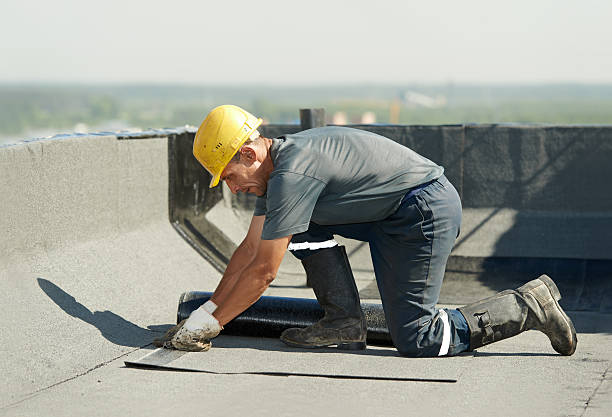 Best Spray Foam Insulation in Elmo, TX