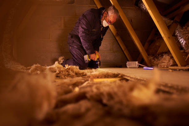 Best Geographic-Specific Insulation Services in Elmo, TX